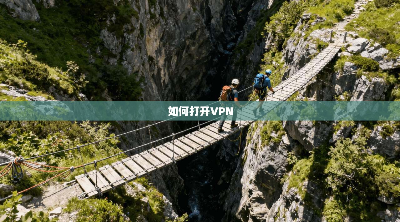 如何打开VPN 第1张 如何打开VPN 第1张