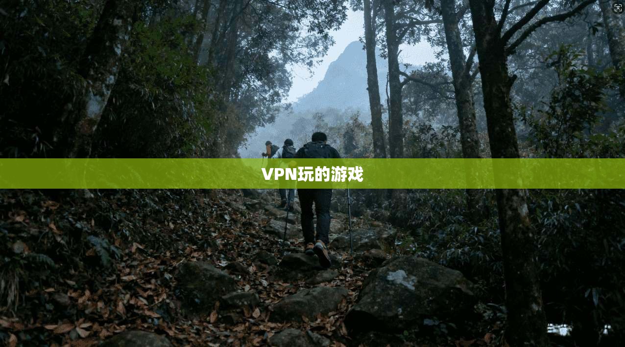 VPN玩的游戏  第1张