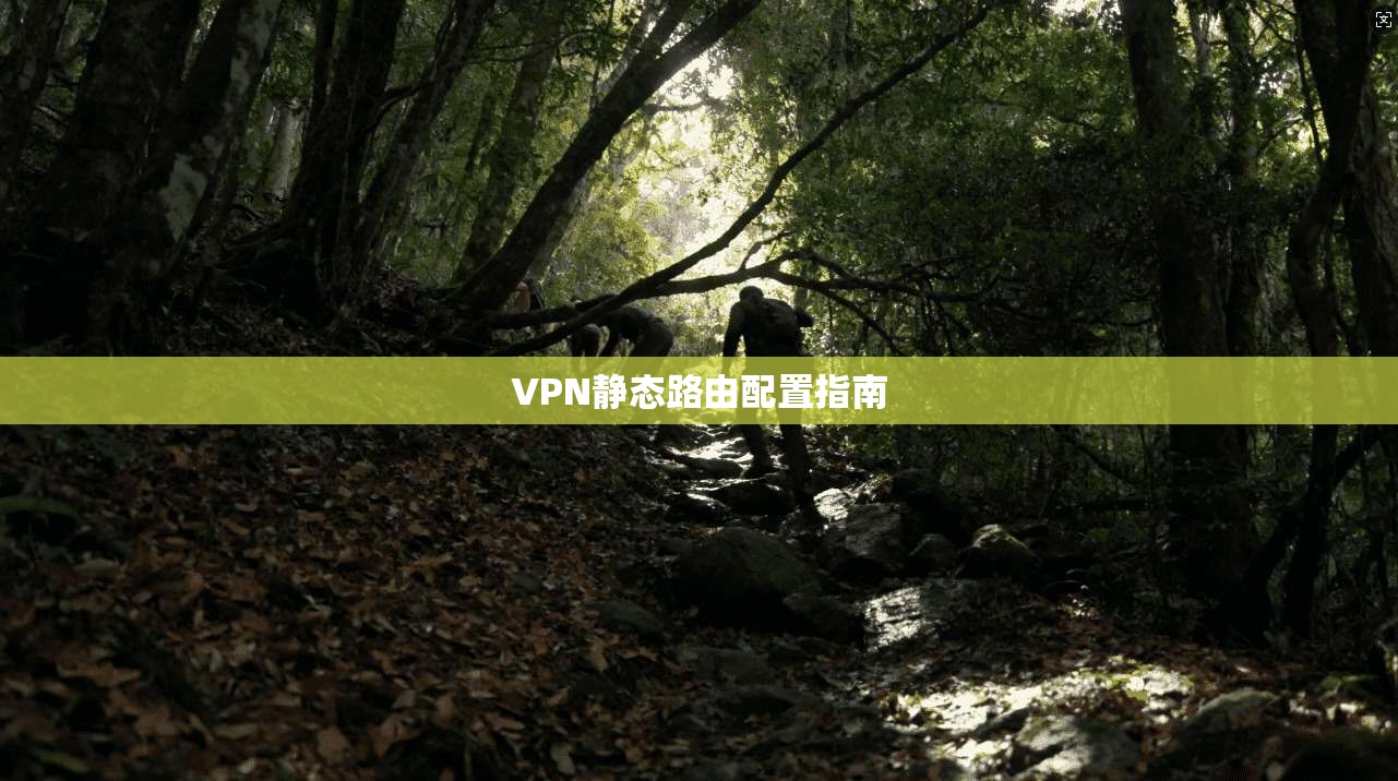 VPN静态路由配置指南  第1张