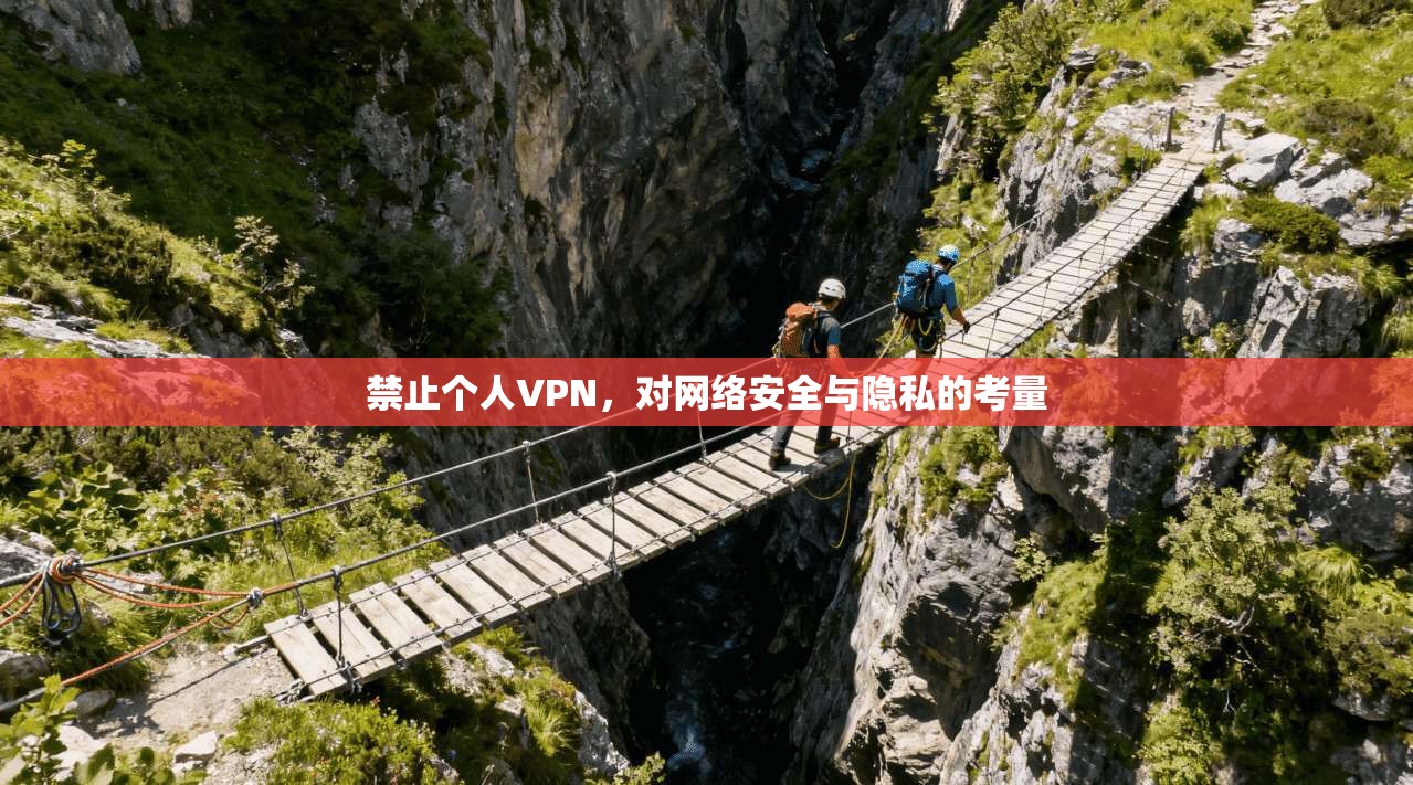 禁止个人VPN，对网络安全与隐私的考量  第1张