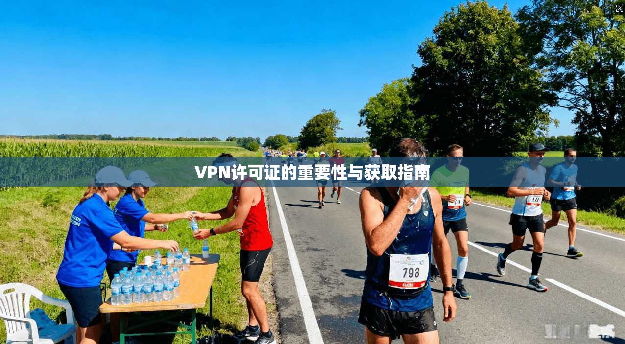 VPN许可证的重要性与获取指南  第1张
