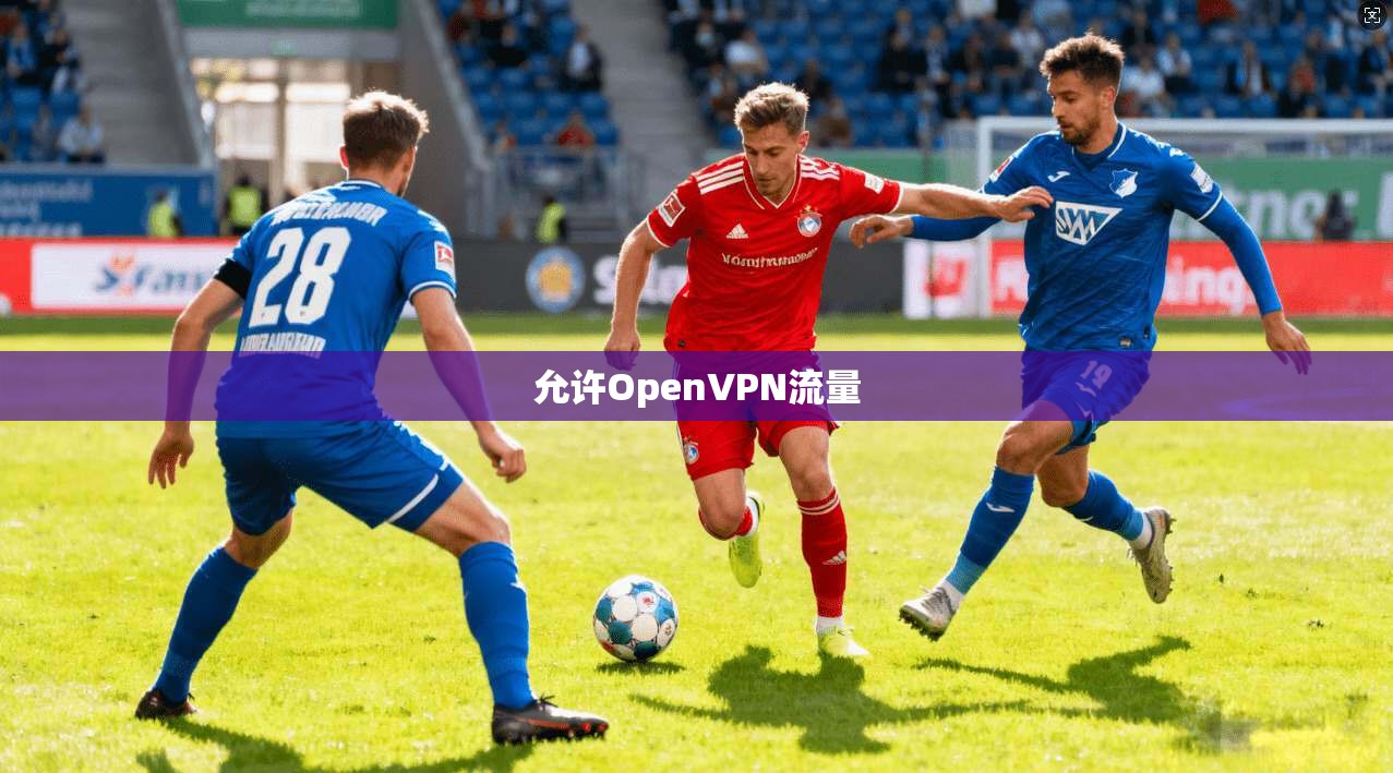 允许OpenVPN流量  第1张