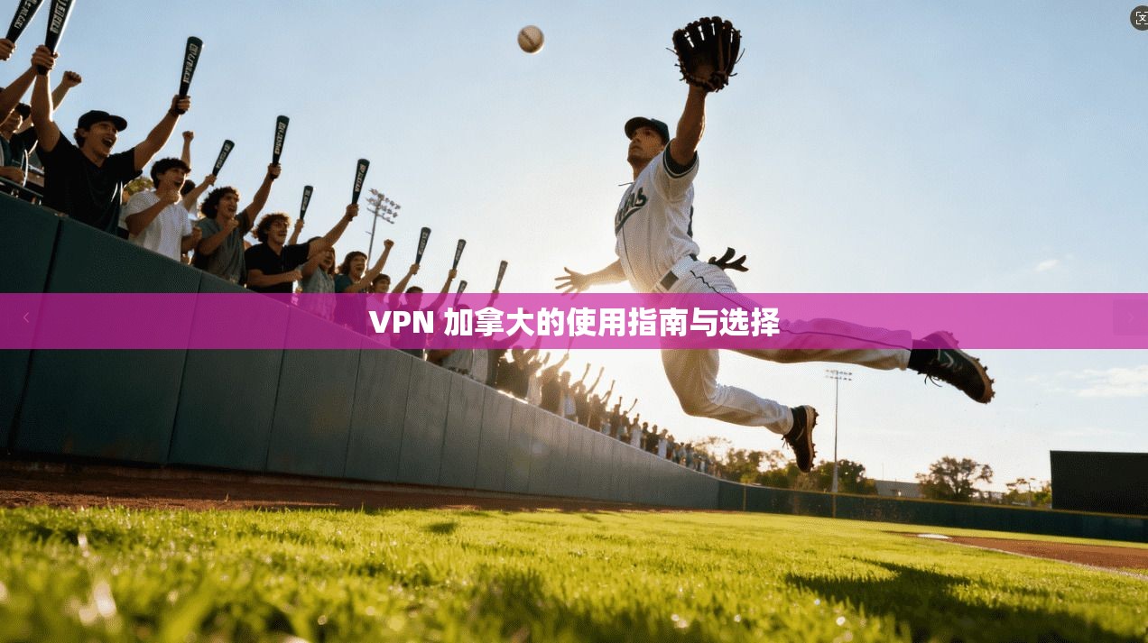 VPN 加拿大的使用指南与选择  第1张