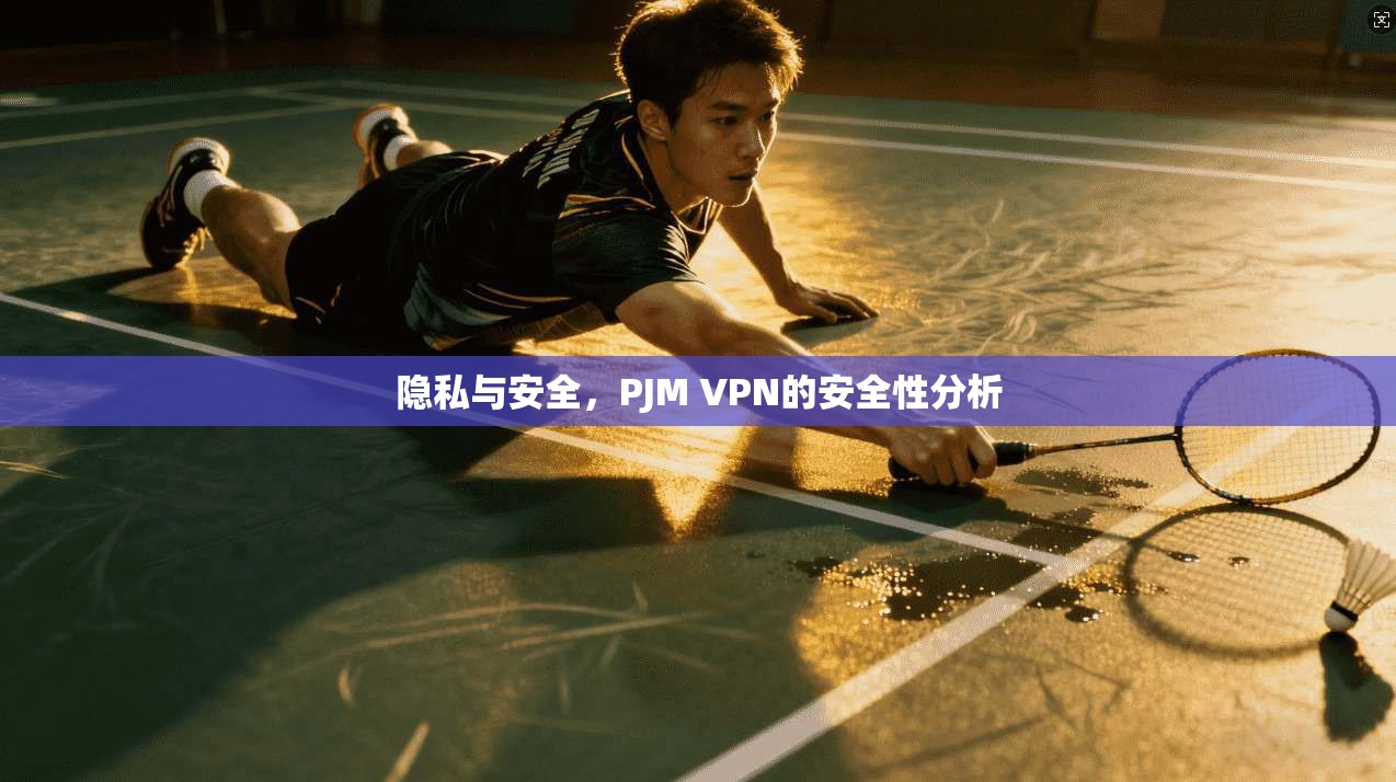 隐私与安全，PJM VPN的安全性分析  第1张