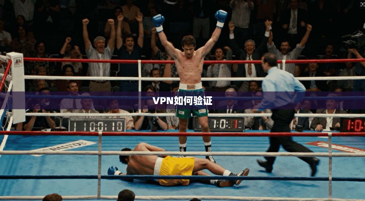 VPN如何验证 第1张 VPN如何验证 第1张