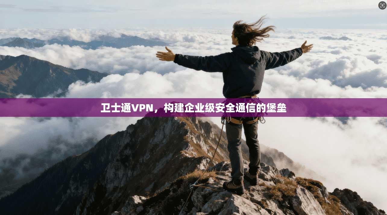 卫士通VPN,构建企业级安全通信的堡垒 第1张 卫士通VPN,构建企业级安全通信的堡垒 第1张