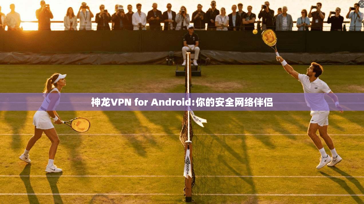 神龙VPN for Android:你的安全网络伴侣  第1张