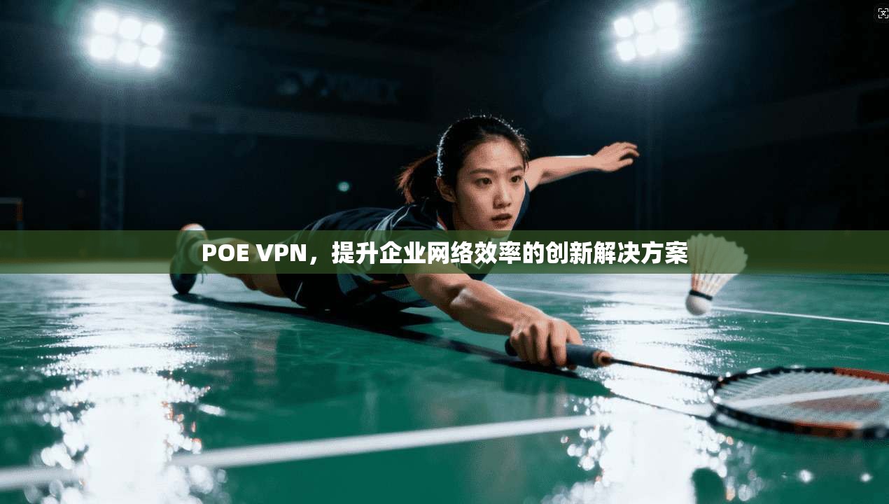 POE VPN,提升企业网络效率的创新解决方案 第1张 POE VPN,提升企业网络效率的创新解决方案 第1张