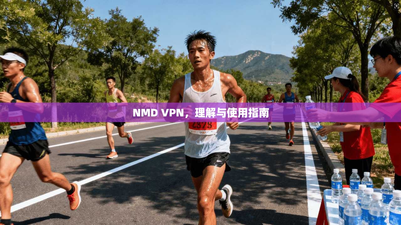 NMD VPN,理解与使用指南 第1张 NMD VPN,理解与使用指南 第1张