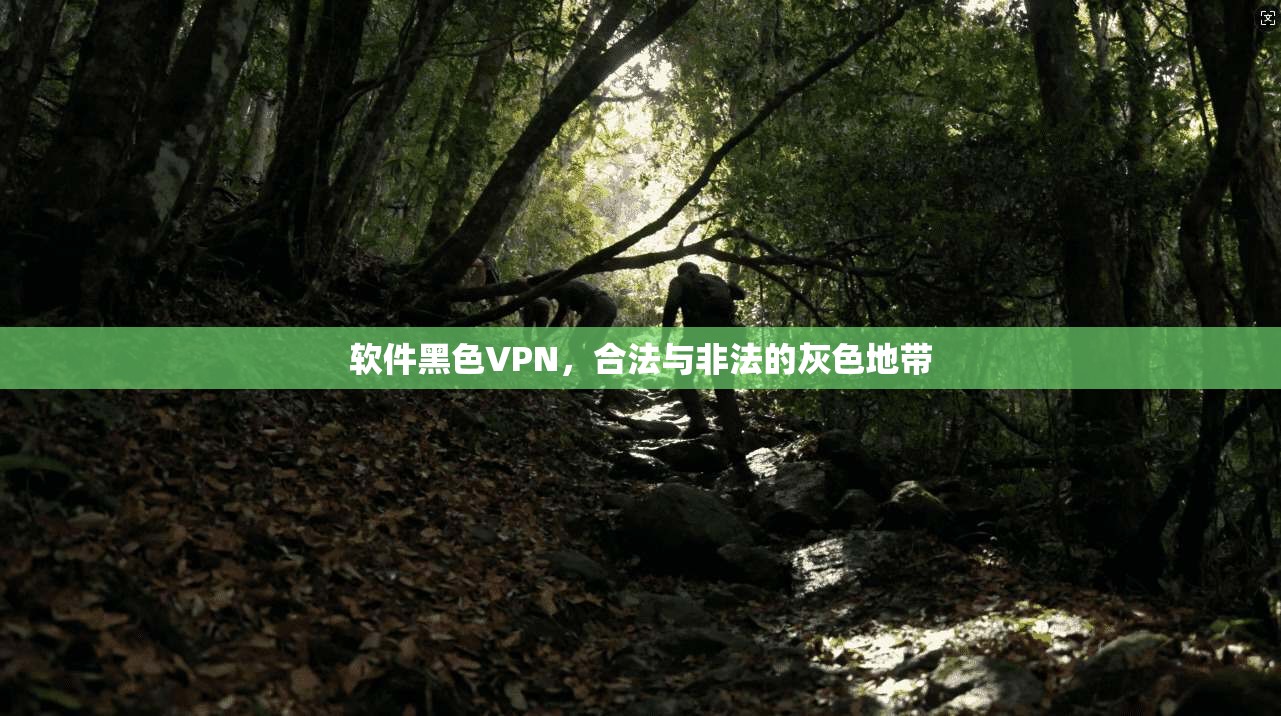 软件黑色VPN，合法与非法的灰色地带  第1张