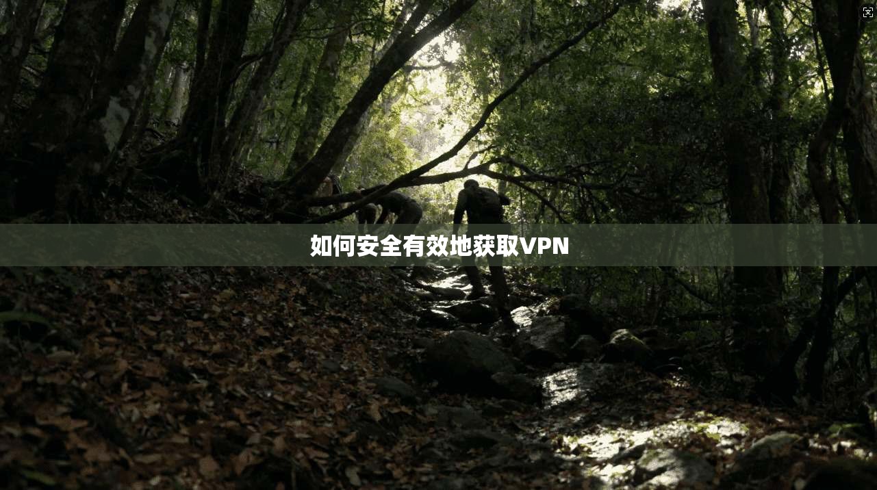 如何安全有效地获取VPN  第1张