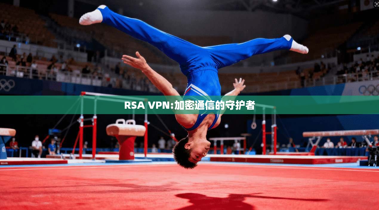 RSA VPN:加密通信的守护者 第1张 RSA VPN:加密通信的守护者 第1张