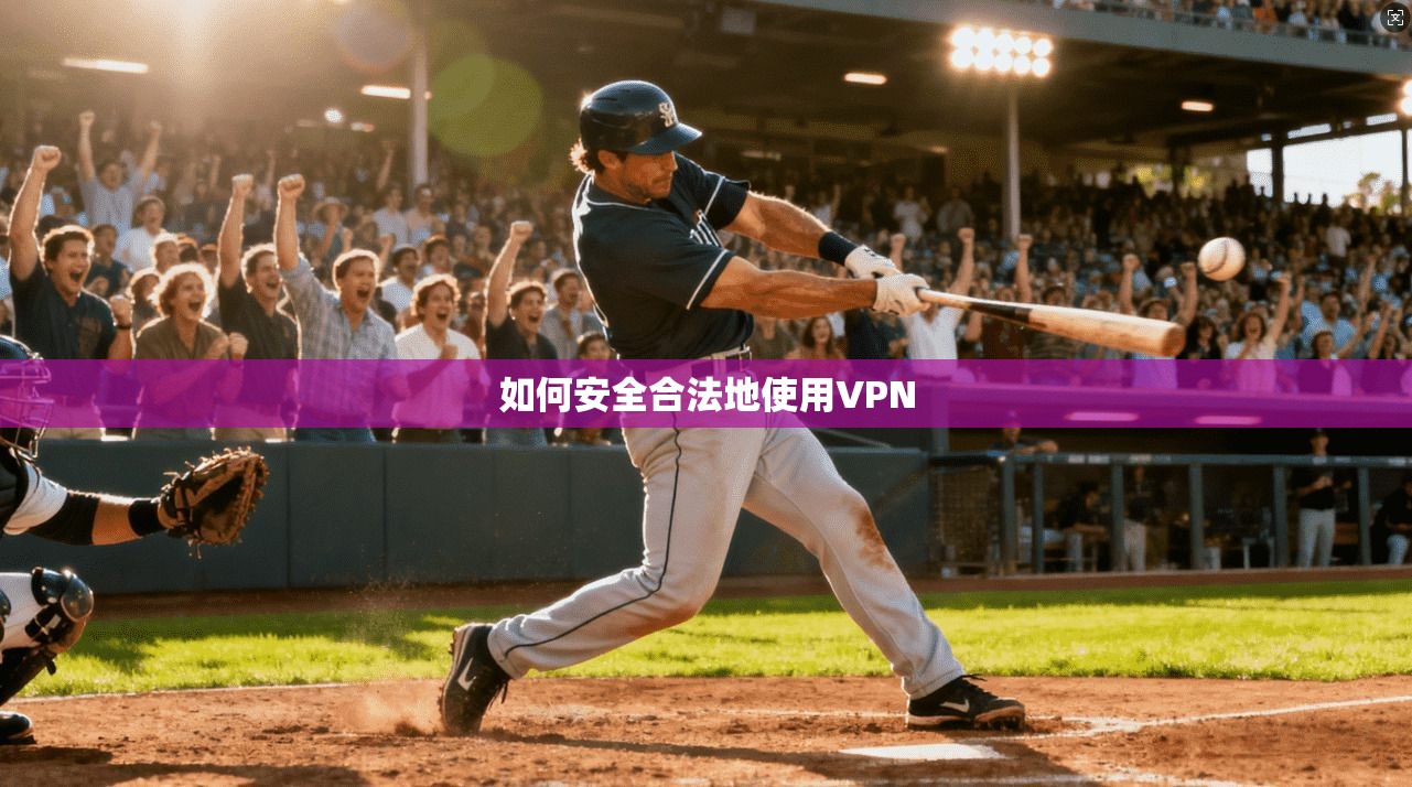 如何安全合法地使用VPN 第1张 如何安全合法地使用VPN 第1张