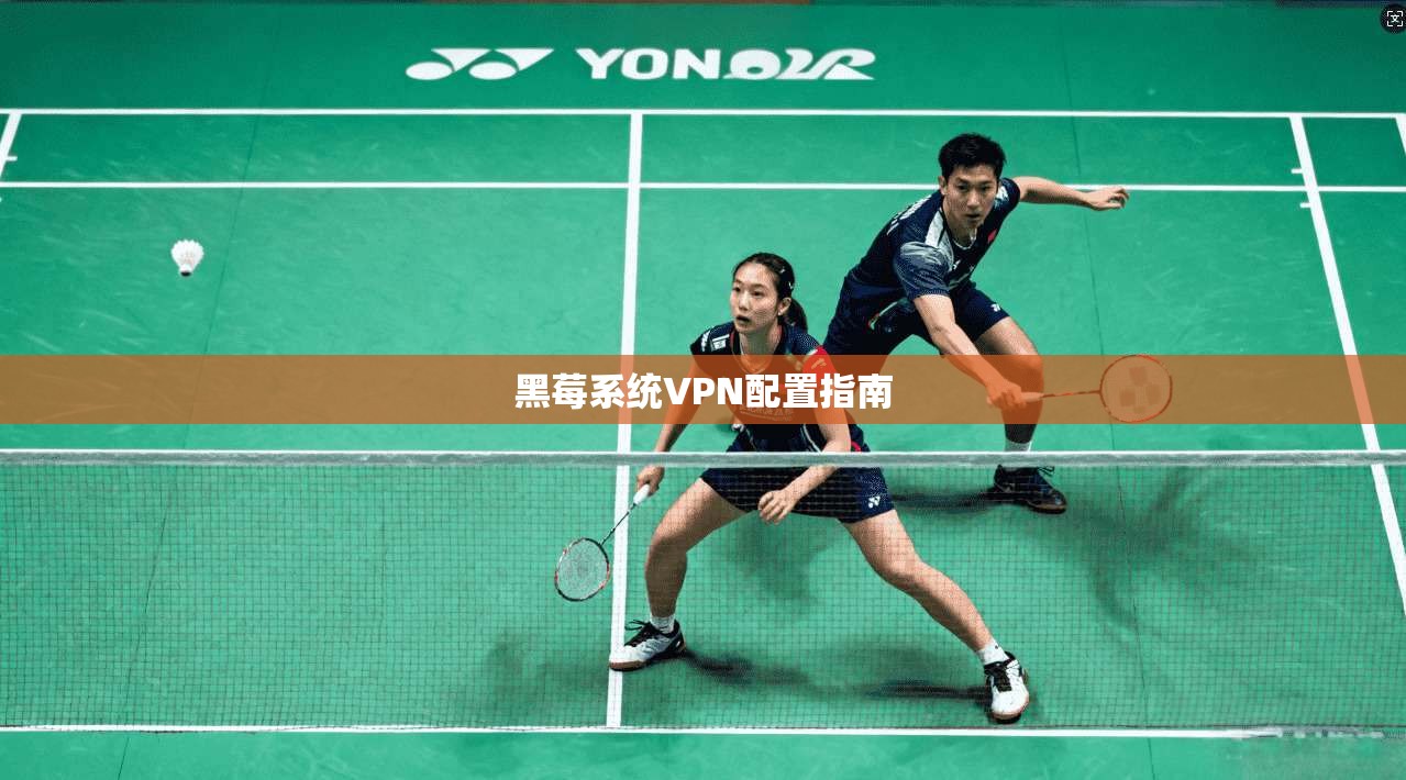 黑莓系统VPN配置指南  第1张