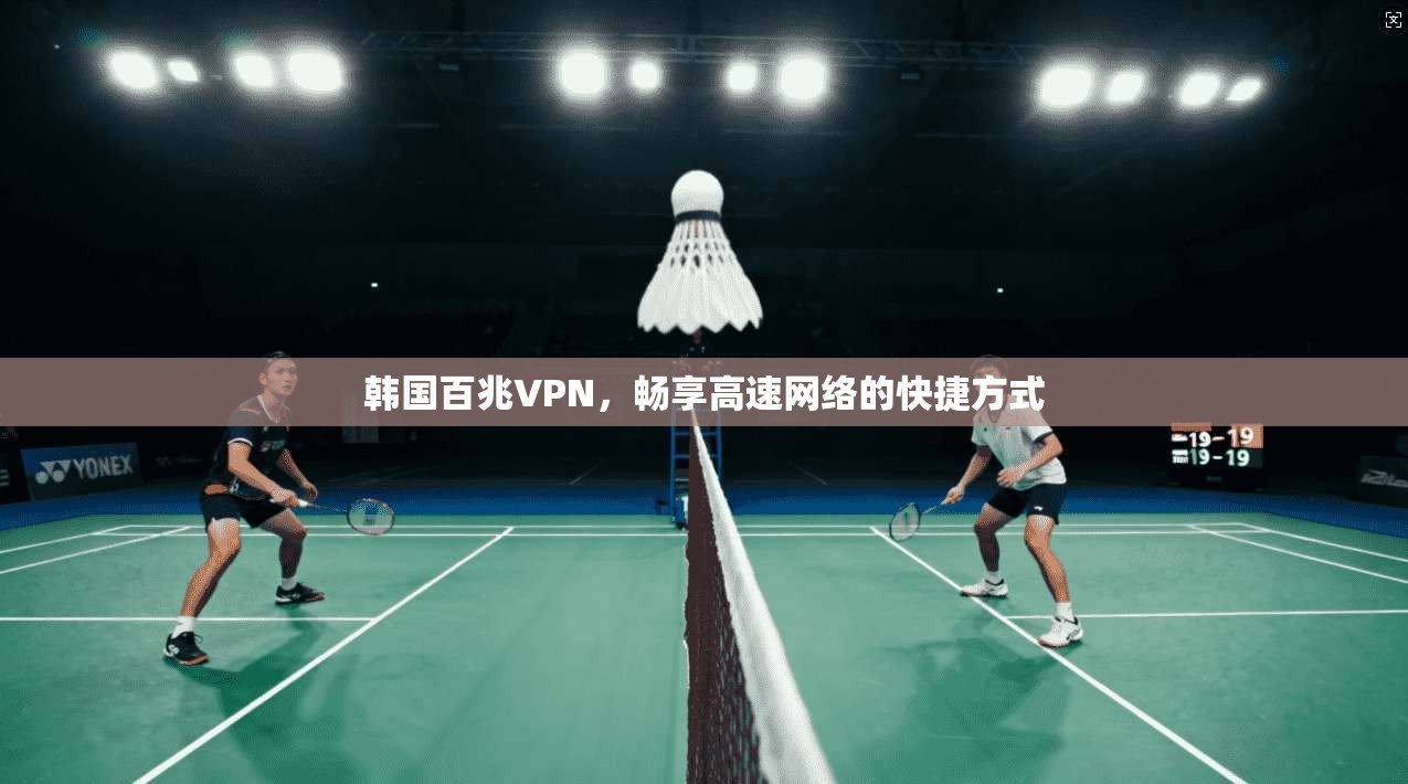 韩国百兆VPN，畅享高速网络的快捷方式  第1张