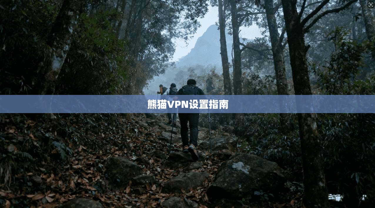 熊猫VPN设置指南  第1张