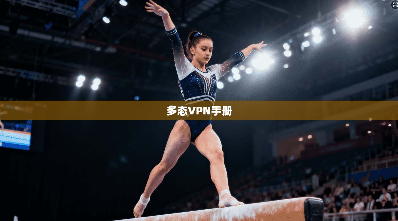 多态VPN手册  第1张