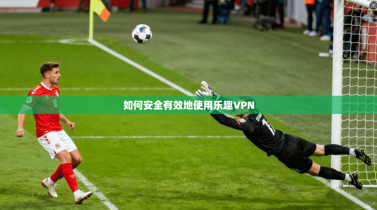 如何安全有效地使用乐趣VPN  第1张