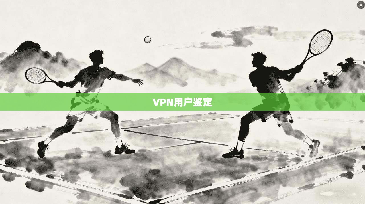 VPN用户鉴定  第1张