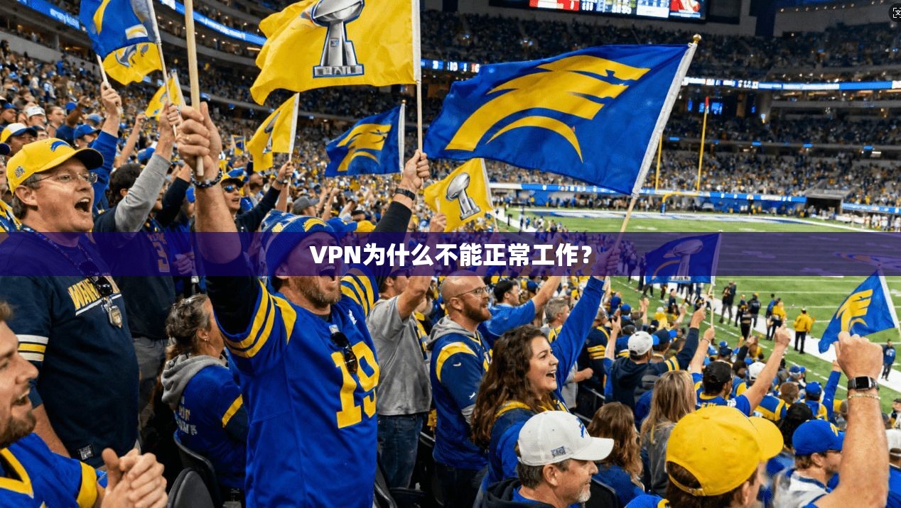 VPN为什么不能正常工作？  第1张
