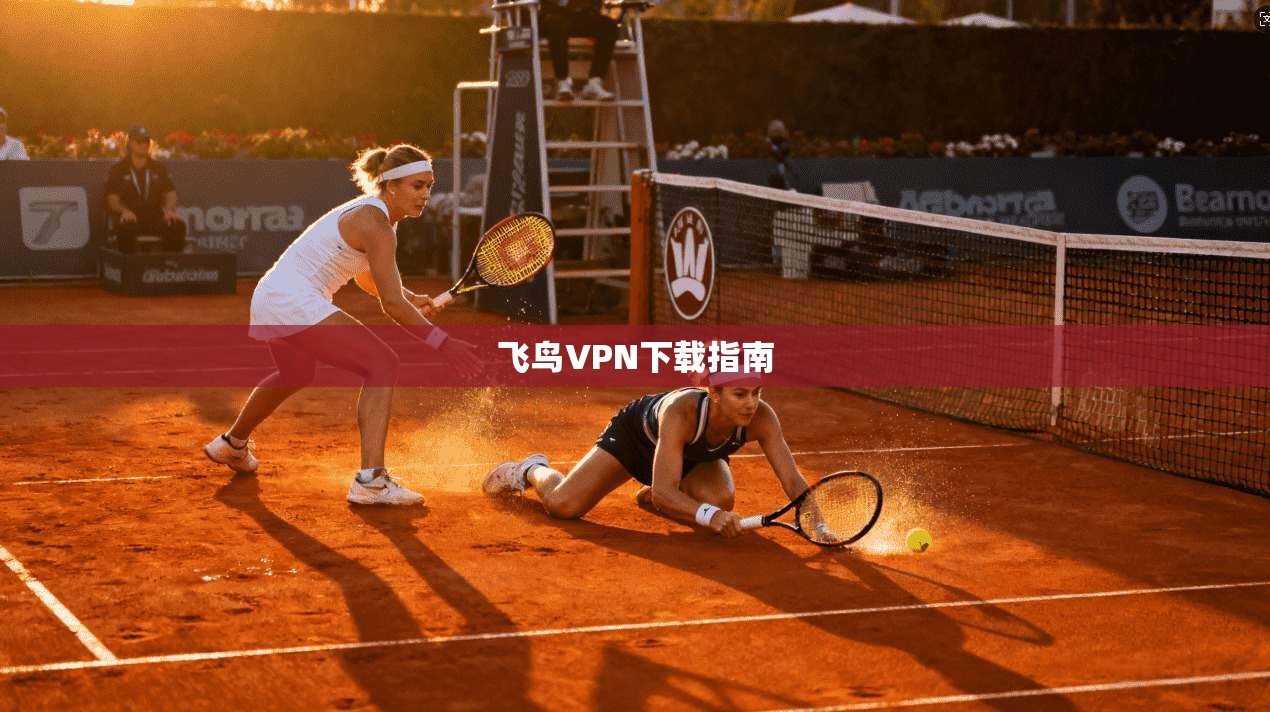 飞鸟VPN下载指南  第1张