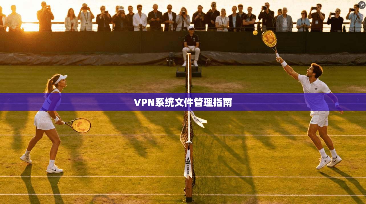 VPN系统文件管理指南  第1张