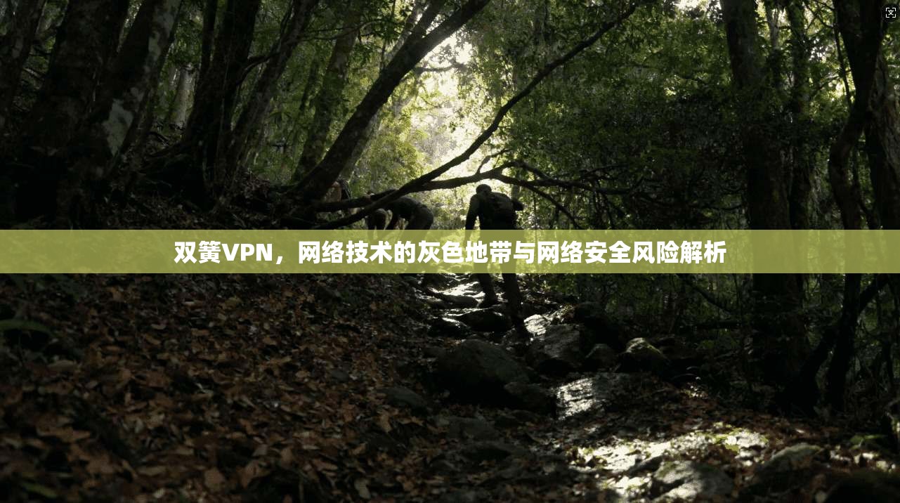 双簧VPN，网络技术的灰色地带与网络安全风险解析