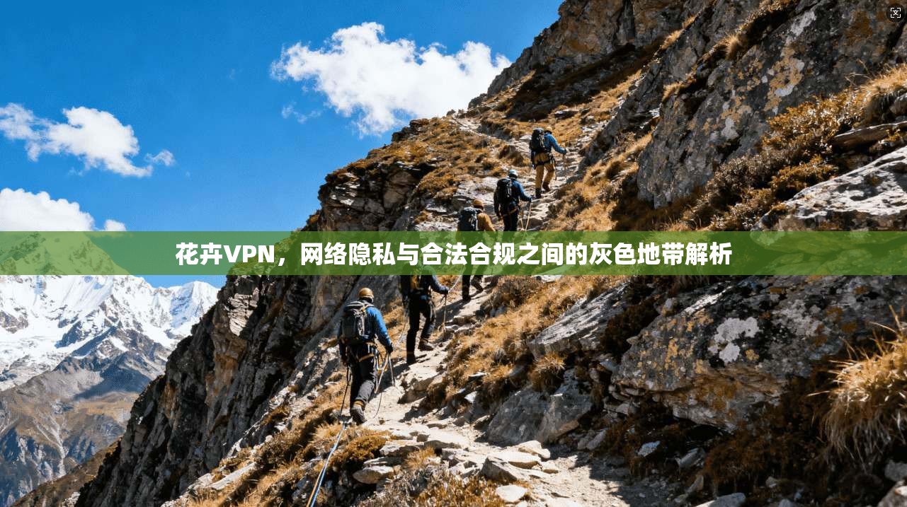 花卉VPN，网络隐私与合法合规之间的灰色地带解析