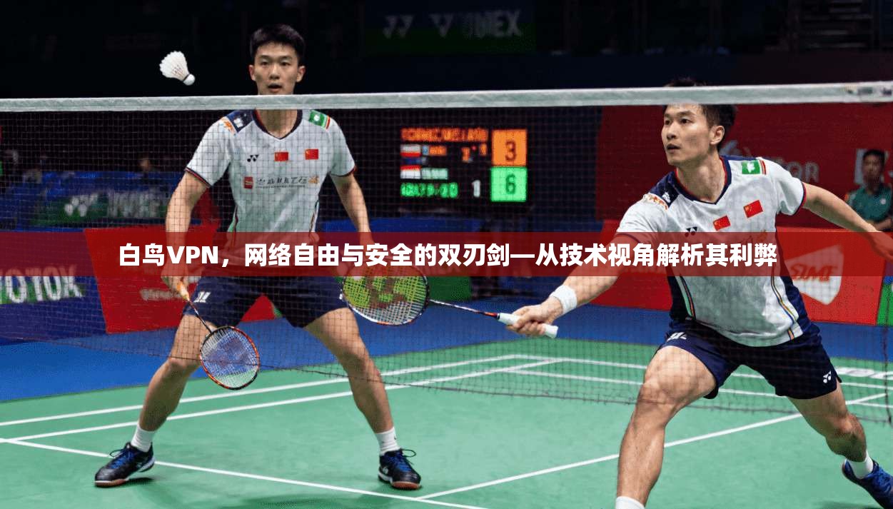 白鸟VPN，网络自由与安全的双刃剑—从技术视角解析其利弊