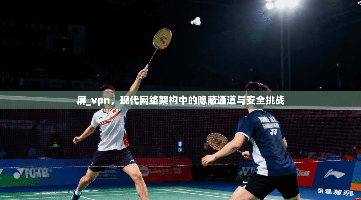 屏_vpn，现代网络架构中的隐蔽通道与安全挑战