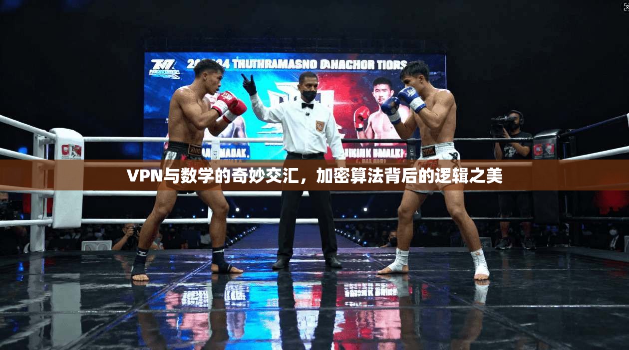 VPN与数学的奇妙交汇，加密算法背后的逻辑之美