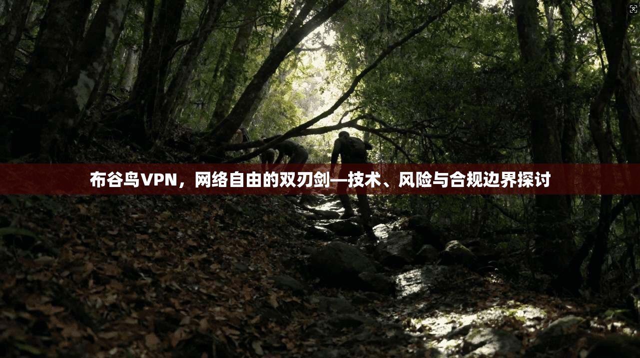 布谷鸟VPN，网络自由的双刃剑—技术、风险与合规边界探讨