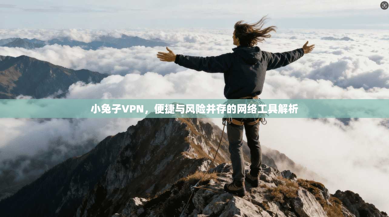 小兔子VPN，便捷与风险并存的网络工具解析