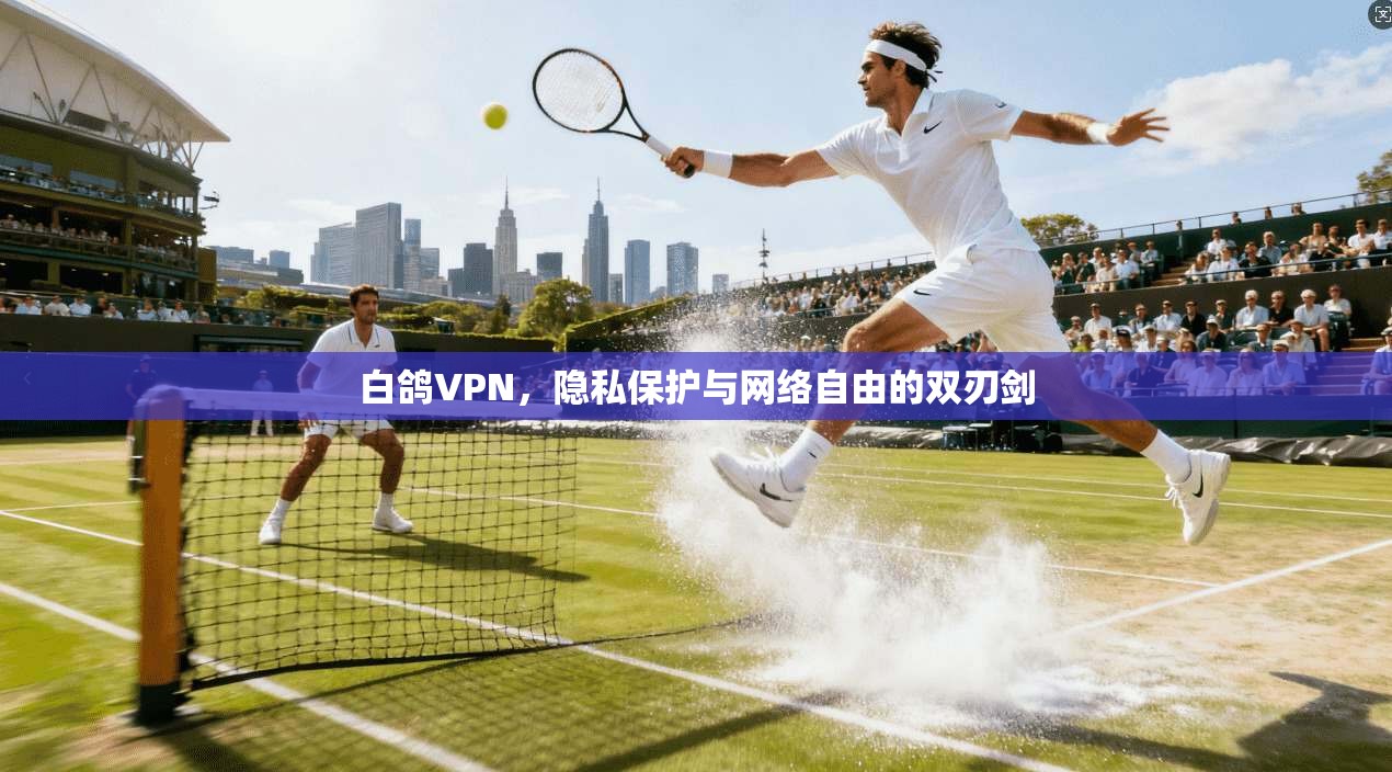 白鸽VPN，隐私保护与网络自由的双刃剑