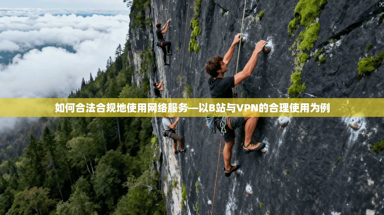如何合法合规地使用网络服务—以B站与VPN的合理使用为例