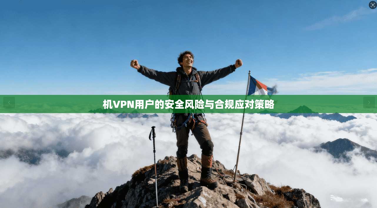 机VPN用户的安全风险与合规应对策略