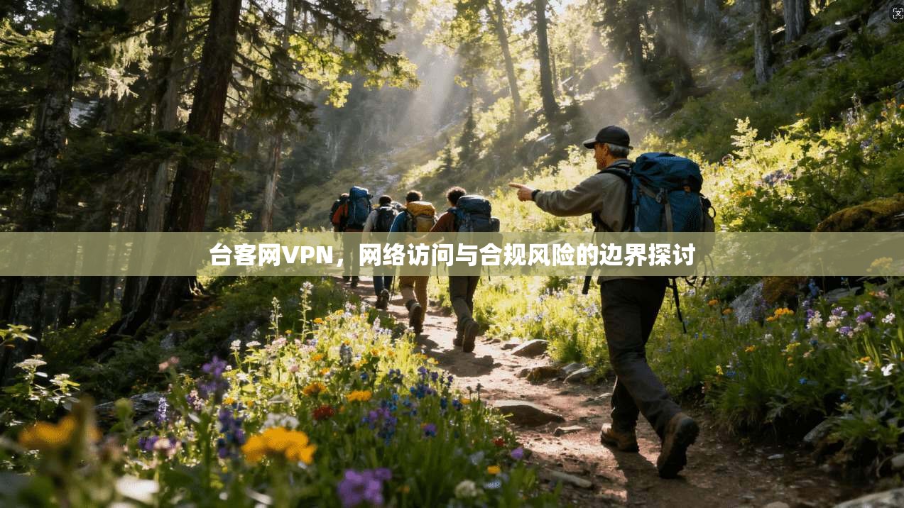 台客网VPN，网络访问与合规风险的边界探讨