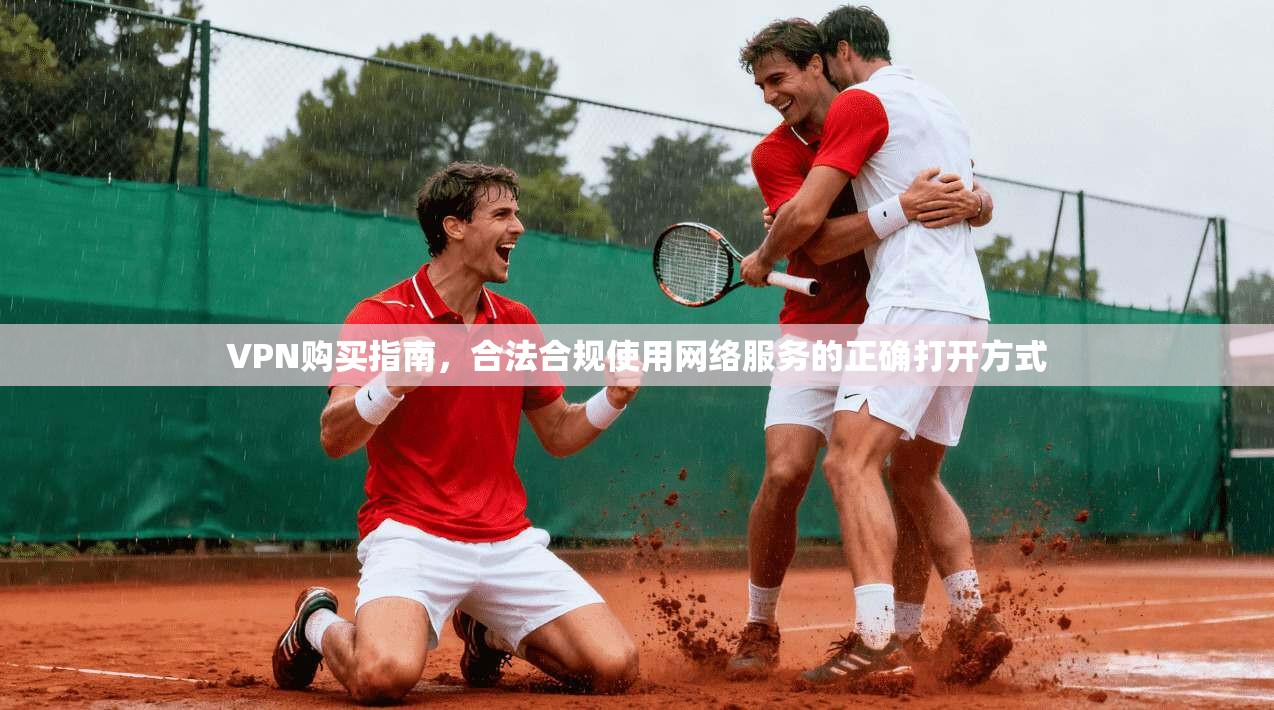 VPN购买指南，合法合规使用网络服务的正确打开方式