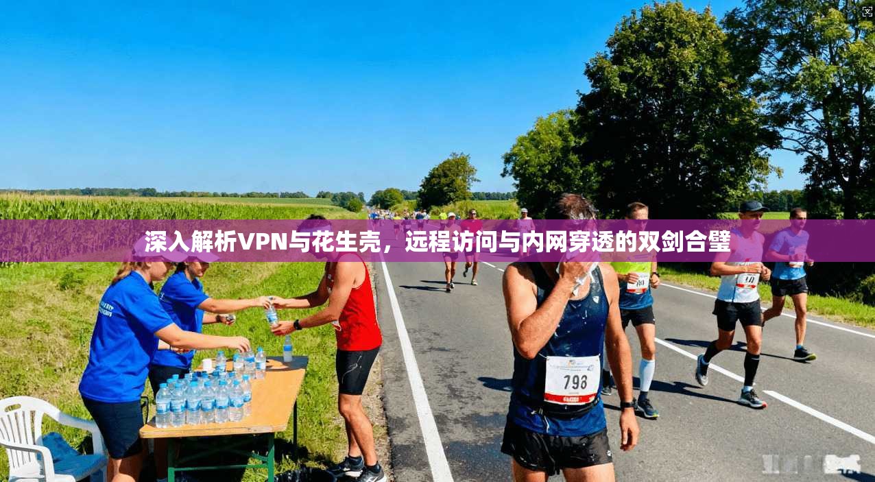 深入解析VPN与花生壳，远程访问与内网穿透的双剑合璧