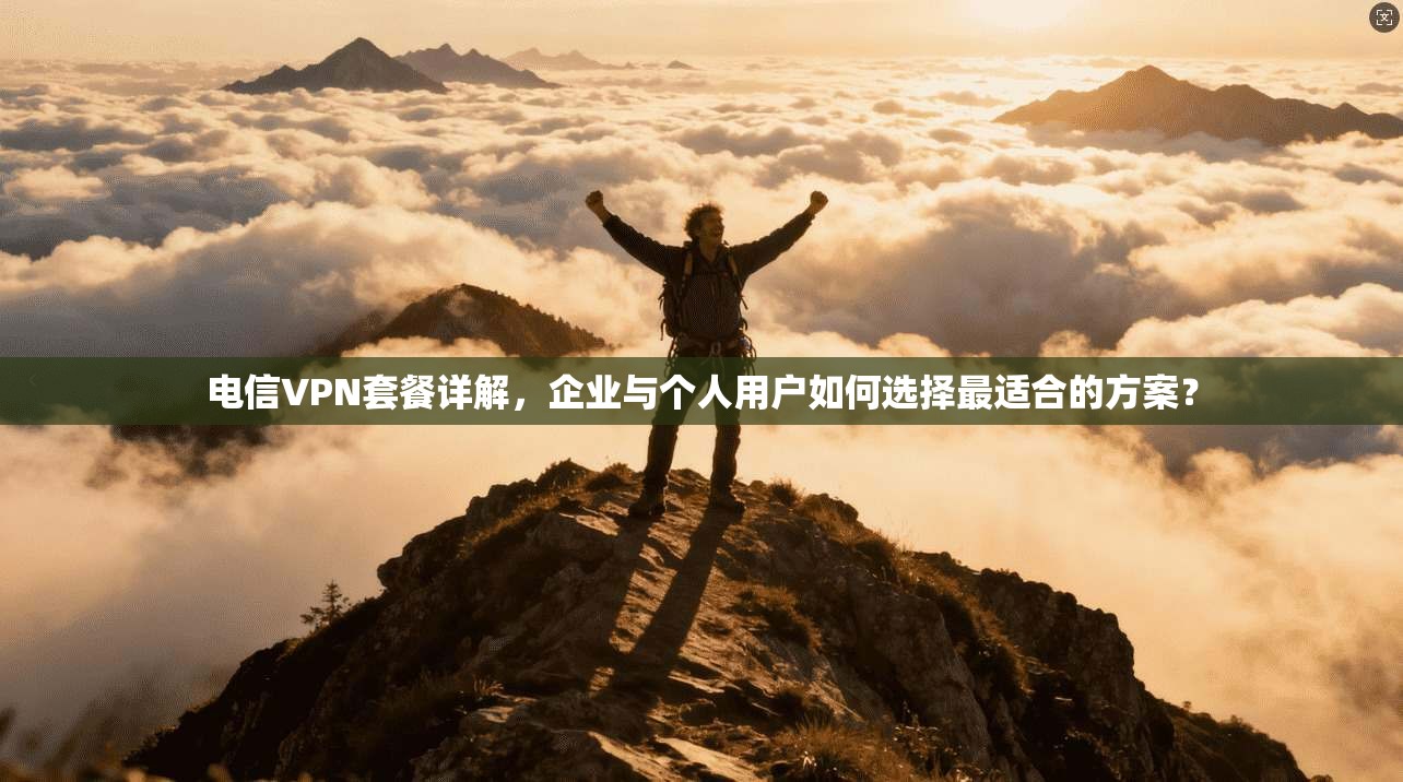 电信VPN套餐详解，企业与个人用户如何选择最适合的方案？
