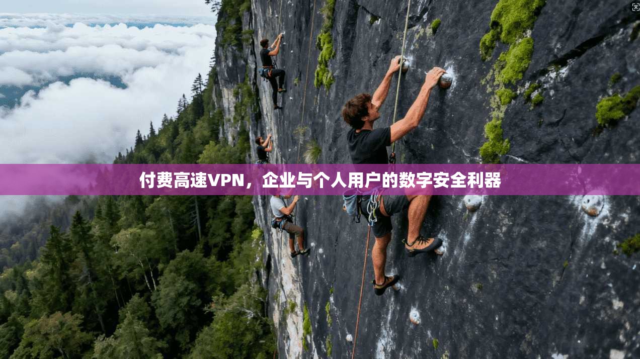 付费高速VPN，企业与个人用户的数字安全利器