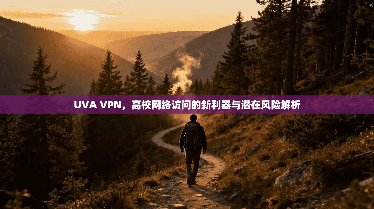 UVA VPN，高校网络访问的新利器与潜在风险解析