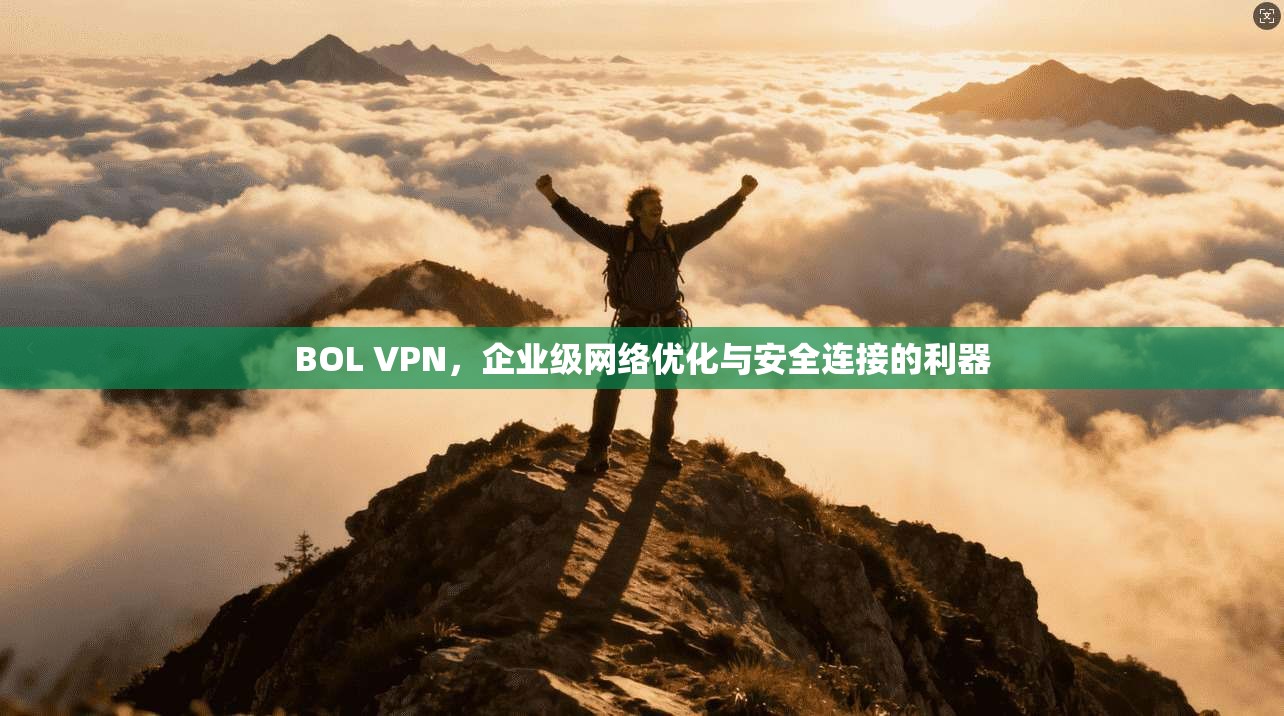 BOL VPN，企业级网络优化与安全连接的利器