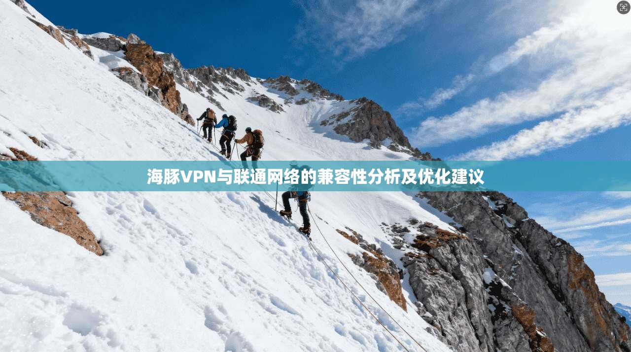 海豚VPN与联通网络的兼容性分析及优化建议