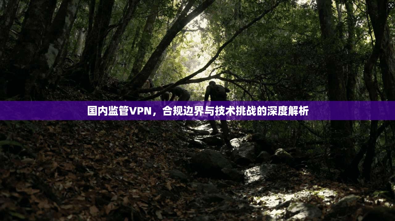 国内监管VPN，合规边界与技术挑战的深度解析