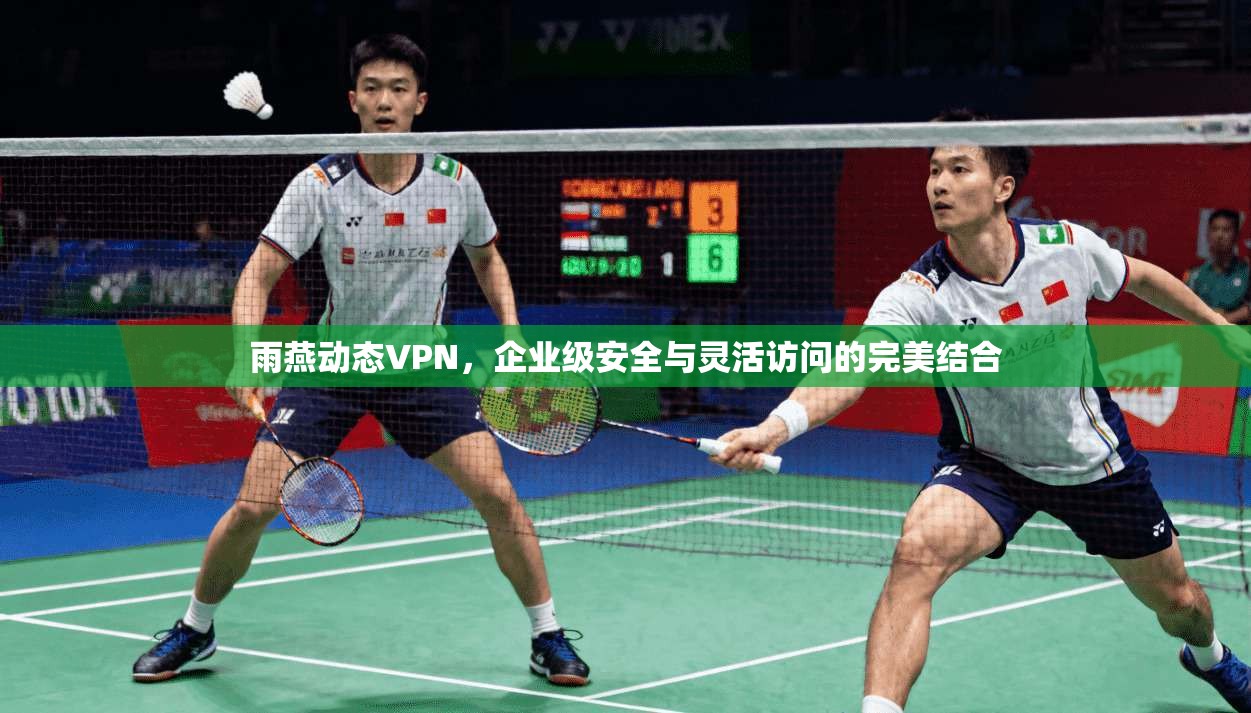 雨燕动态VPN，企业级安全与灵活访问的完美结合