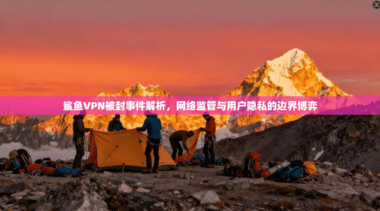 鲨鱼VPN被封事件解析，网络监管与用户隐私的边界博弈