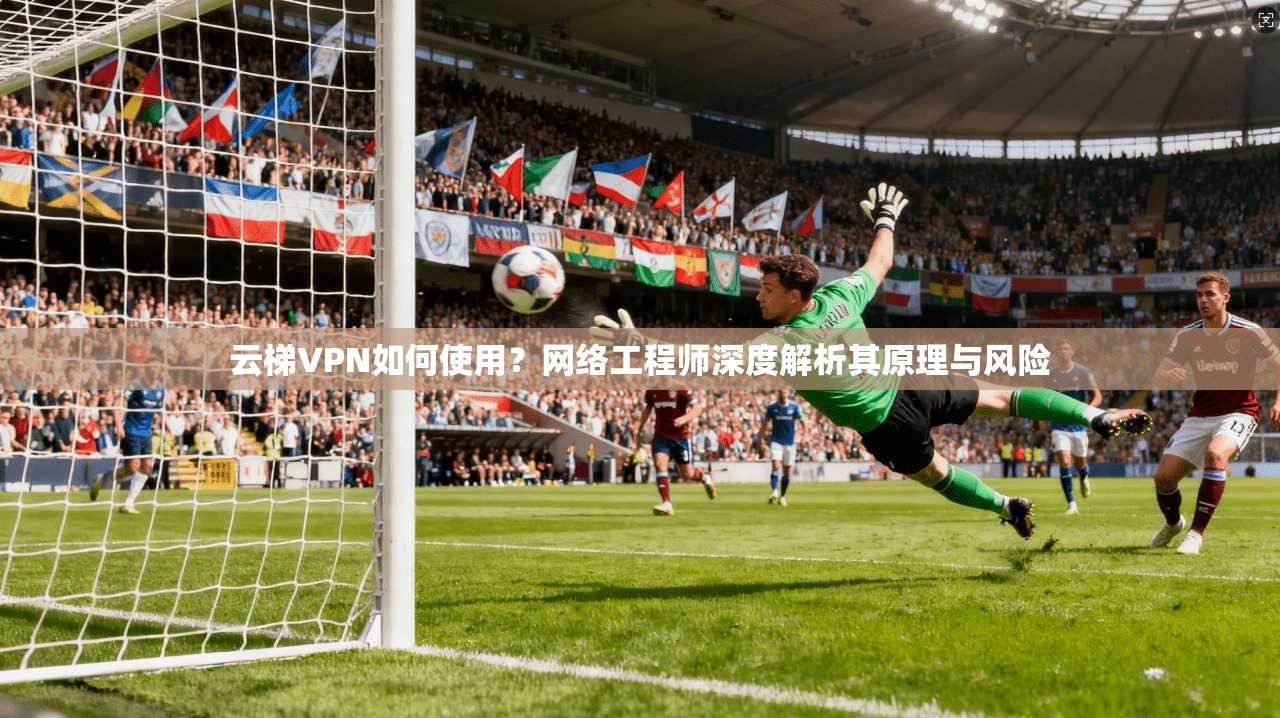 云梯VPN如何使用？网络工程师深度解析其原理与风险
