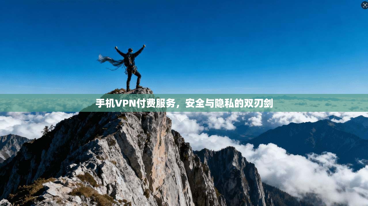 手机VPN付费服务，安全与隐私的双刃剑