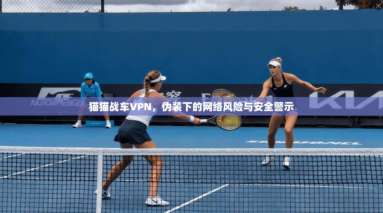 猫猫战车VPN，伪装下的网络风险与安全警示